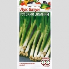 Лук Русский зимний