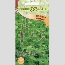 Лофант Франт