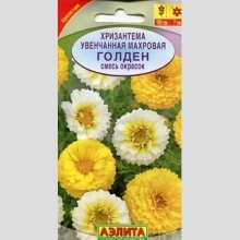 Хризантема Голден увенчанная смесь