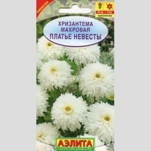 Хризантема Платье невесты махровая