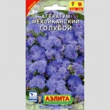 Агератум Мексиканский голубой