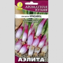 Лук Красавец (батун)