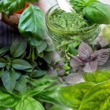 Набор семян Итальянские травы 6 пакетов (б/п)