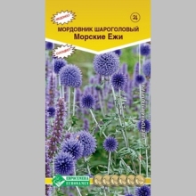 Мордовник Морские ежи (шароголовый)