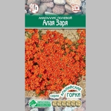 Анагаллис Алая заря (полевой)