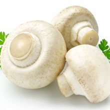 Грибы - Шампиньон миндальный