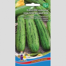 Кабачок Удалой Мужичок