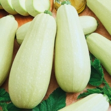 Кабачок Ролик