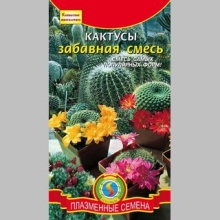 Кактусы Забавная смесь