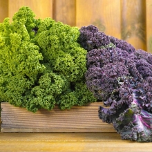 Капуста Кале смесь (листовая)