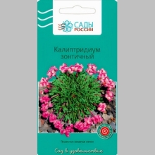 Калиптридиум зонтичный