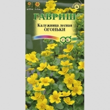 Калужница Огоньки лесная