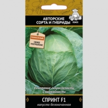 Капуста Спринт F1