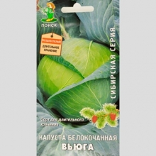 Капуста Вьюга