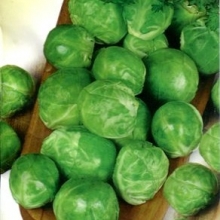 Капуста Геркулес