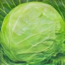 Капуста Июньская