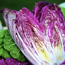 Капуста KS 888 F1 Фиолетовая (пекинская)