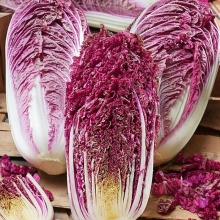 Капуста Красный дракон F1 пекинская