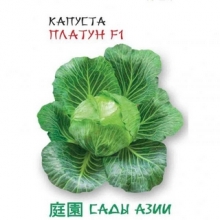 Капуста Платун F1