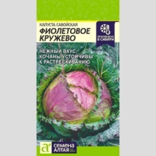 Капуста Фиолетовое Кружево савойская