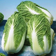 Капуста Натсуки F1 пекинская