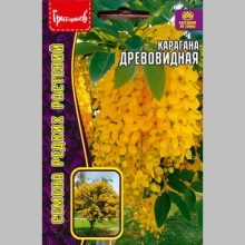 Карагана Древовидная (большой пакет)