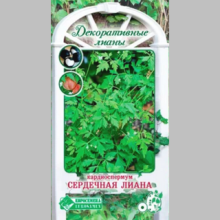 Кардиоспермум Сердечная лиана