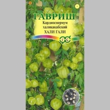 Кардиоспермум Хали-Гали халикакабский