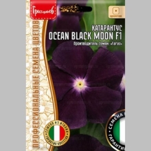 Катарантус Ocean Black Moon F1 (большой пакет)