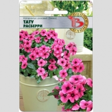 Катарантус Тату Расберри (Винка)