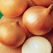 Лук Халцедон (репчатый)