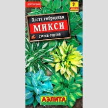Хоста Микси смесь