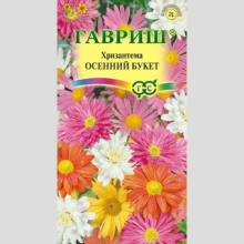 Хризантема Осенний букет индийская