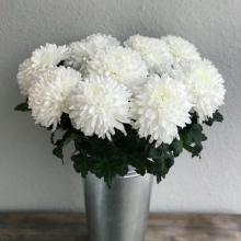 Хризантема Торжество букетная