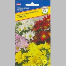 Хризантема индийская Смесь
