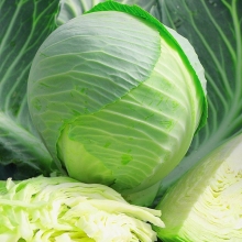 Капуста Килатон F1
