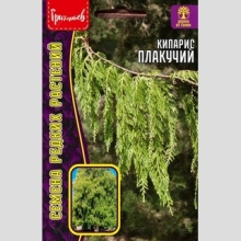 Кипарис плакучий (большой пакет)