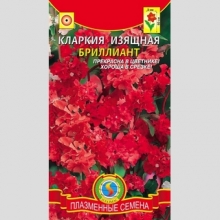 Кларкия Бриллиант (изящная)