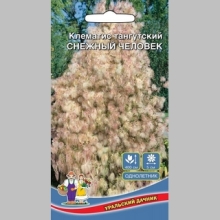 Клематис Снежный Человек тангутский