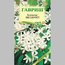 Клематис Звездочет короткохвостый