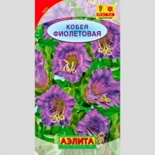 Кобея фиолетовая