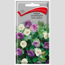 Кобея лазающая Смесь окрасок