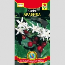Кофе Арабика