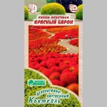 Кохия Красный барон венечная