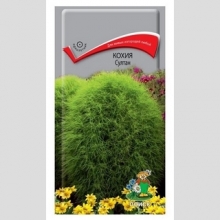 Кохия Султан