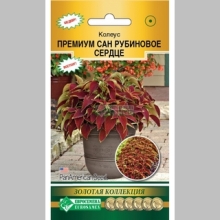 Колеус Премиум Сан Рубиновое Сердце