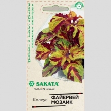 Колеус Файервей Мозаик