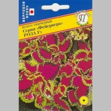 Колеус Фейерверк Роза F1