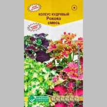 Колеус Рококо кудрявый смесь