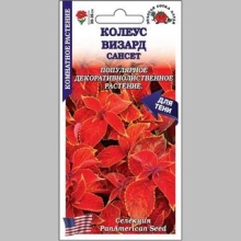 Колеус Визард Сансет